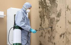 Best Water Damage & Mold Remediation  in Millersburg, OH